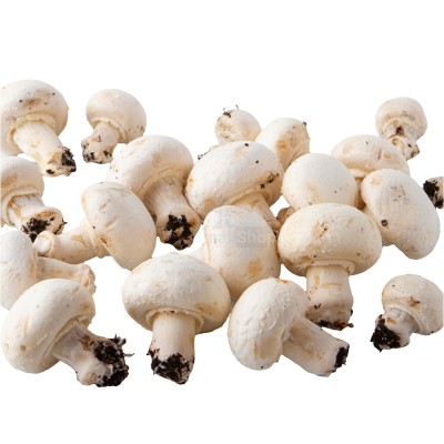 Шампиньоны свежие 500 г - купить в Мураде